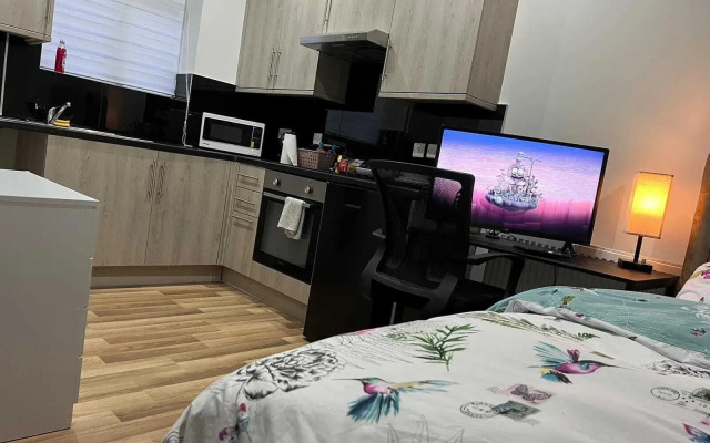 Entire Studio apartment - London