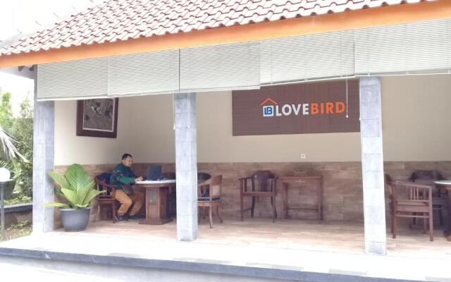 Wisma Lovebird