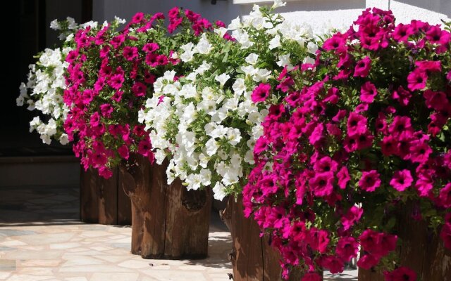 Apartments Antonieta