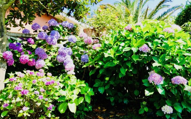 Chambres d'hôtes Madiha Lacanau-Ocean