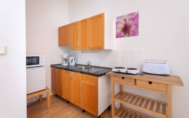 Spacious Apartments in Heart of Prague