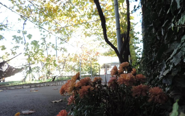 Tetriani Guesthouse
