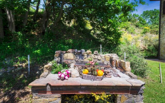 Tr-f513-mgab0at - Pianarina 10 2