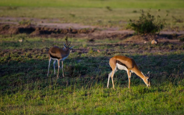 Mara Sidai Camp