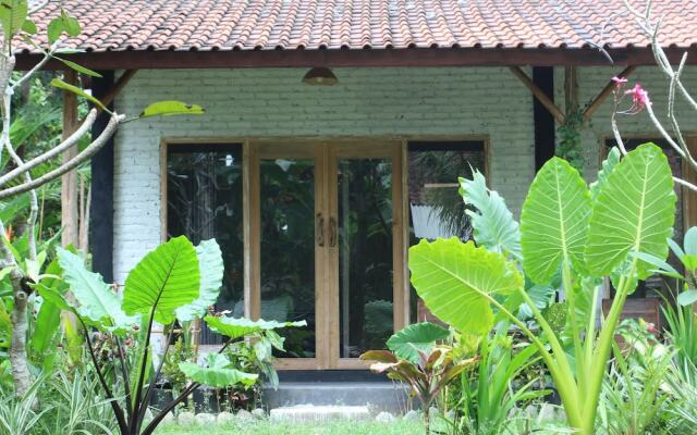 Jungle House - surf & stay