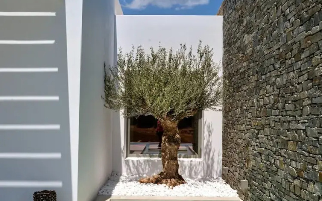 Luxury Villa Serenely