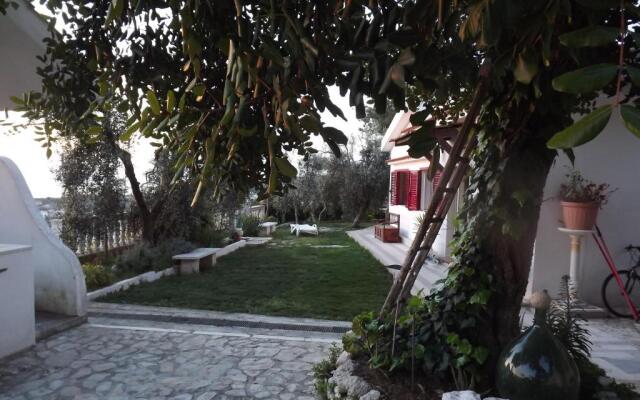 Casa Vacanze Del Carrubo