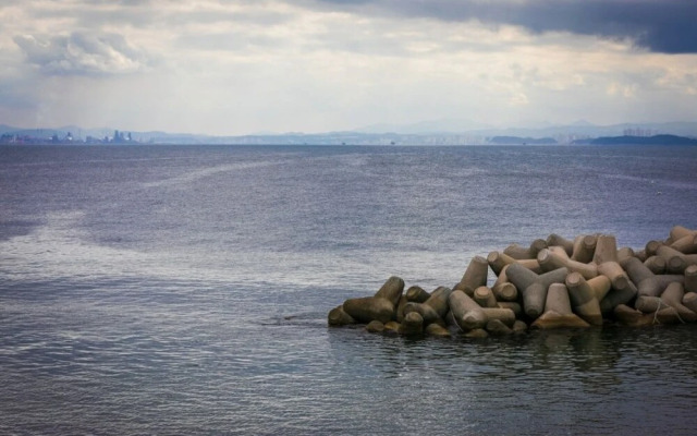 Pohang Bagliore Pension