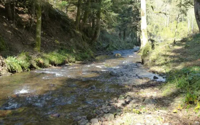 Le Moulin Gitenay - Yourte