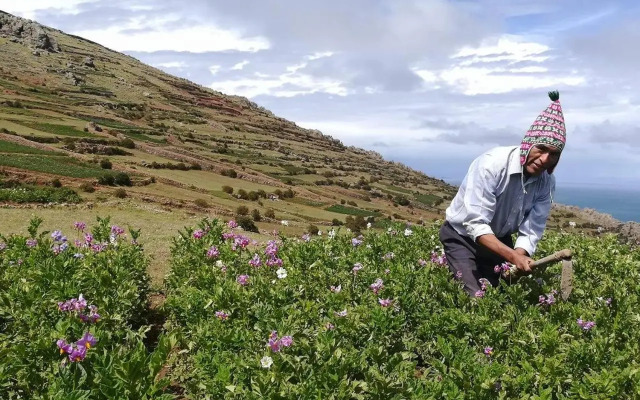 Muña Wasi & Lodge