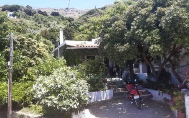 Stella's House