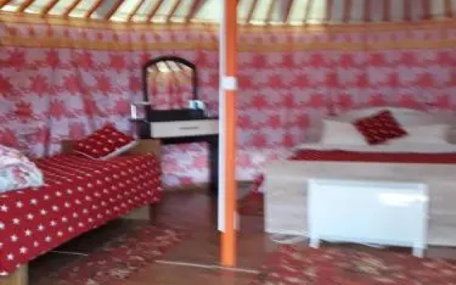 Yurt camping — фото