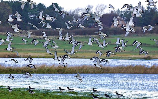 Apartment, Oevenum in Oevenum