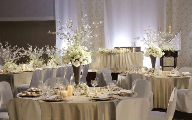 The Celecton Fukushima