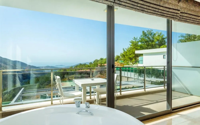 Infinity Paradise