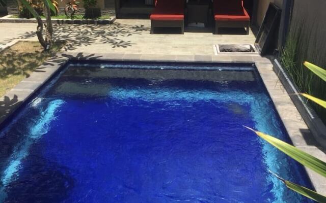 Villa Twin Lovina