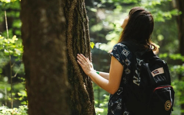 Agriturismo Florandonole