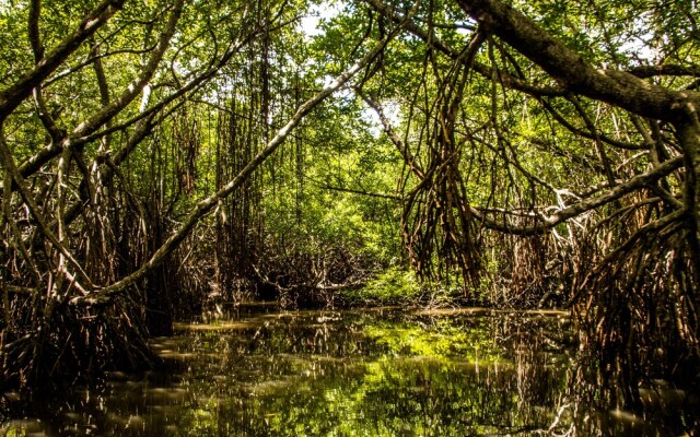 Riverbank Bentota