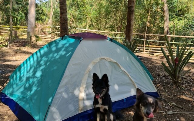 MoRue's Den