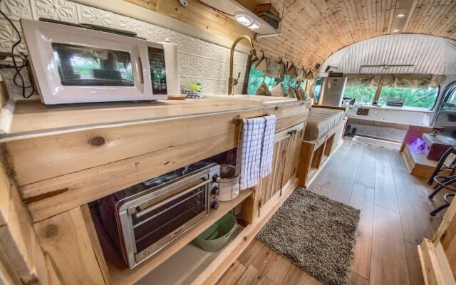 The Dog Haus Cl 195Dh