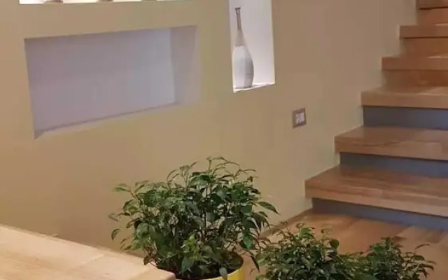 Green Guest House