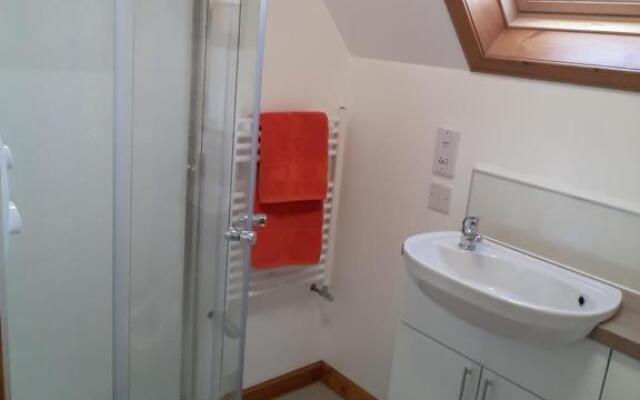 The Pally - behind 13 Palace Road