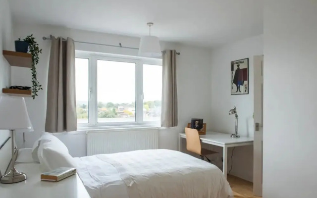 Penthouse Flat in Trendy Peckham with City Views