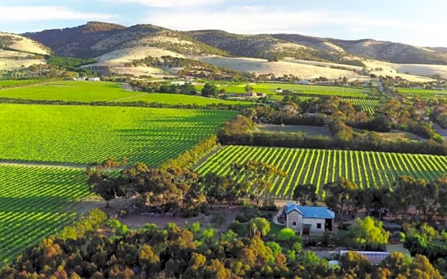 The Old Chaff Mill Organic Vineyard Retreat