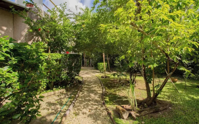 Mini Pini Birdwatching and Cenote Loft4 you Only