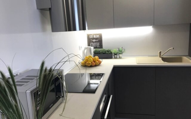 Apartment Andrea L Pula