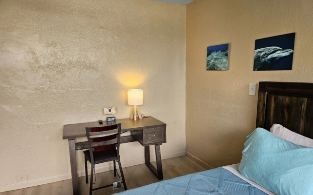 Plumeria Hilo Hotel