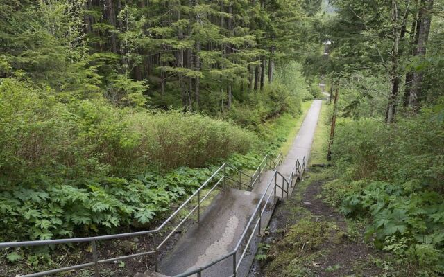 Tall Trees Bed & Breakfast