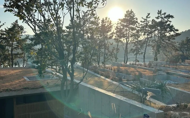 W181Ocean Stay