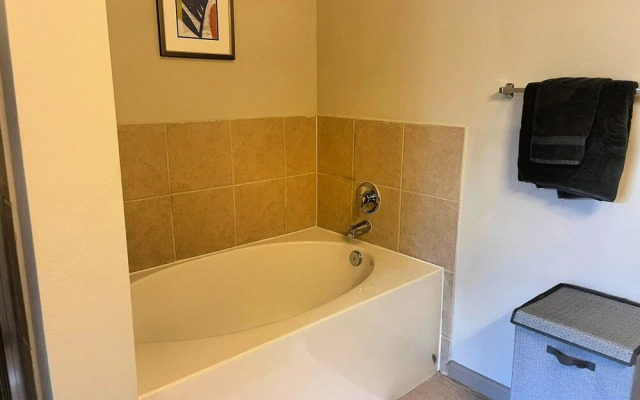 The Elvis Presley Urban Luxury Apts Austin