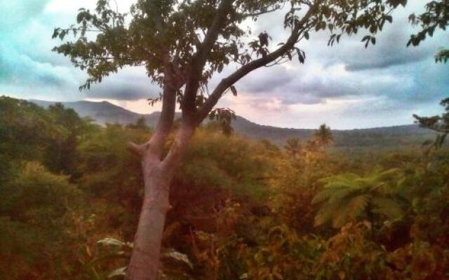 Tanna Volcano View Treehouse