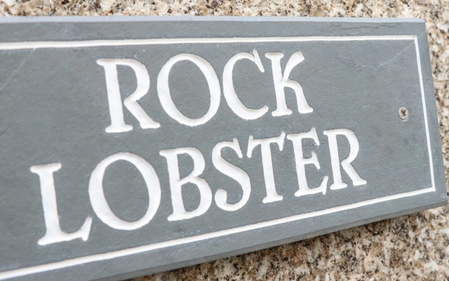 Rock Lobster