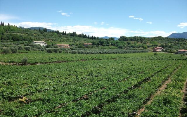 Agriturismo La Rocca