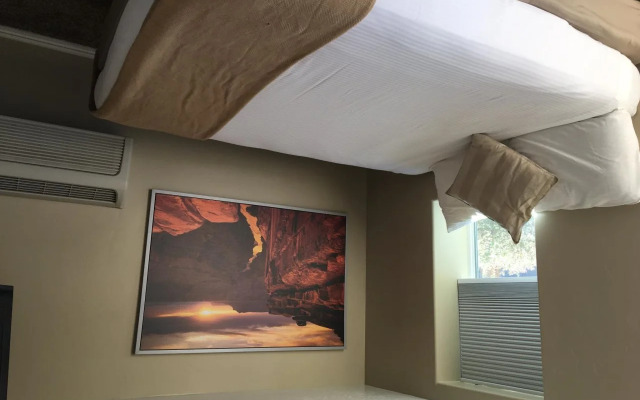 Mountain Ridge Cabins and Lodging