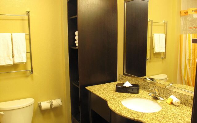 Holiday Inn Express Hotel & Suites Denver East-Peoria Street by IHG