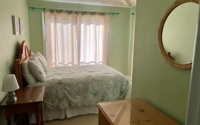 NEW Orleans Street 9