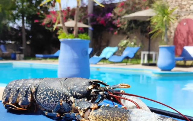 Riad Eucalyptus by Caravanserail