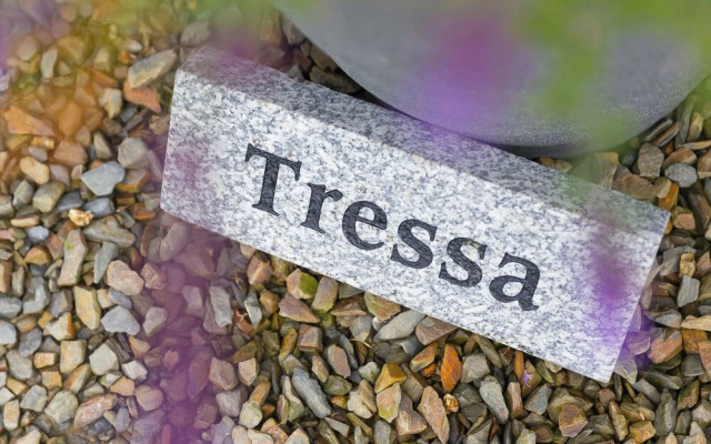 Tressa, Tor Down Quarry