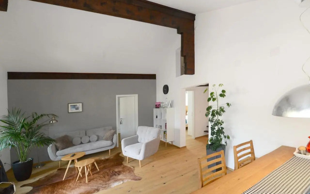 Zer Treichi Appartements