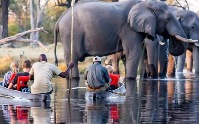 Mogotlho Safari Lodge