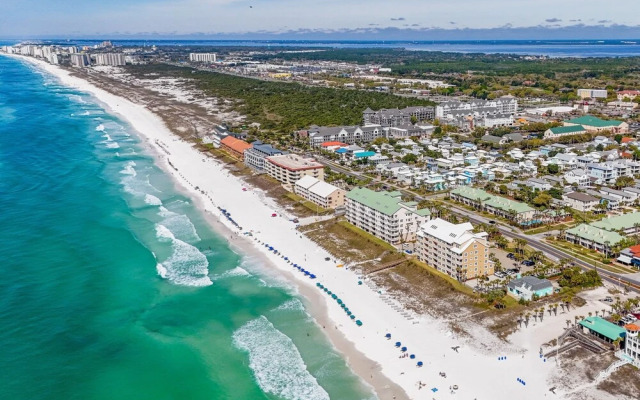 Caribbean Dunes #105