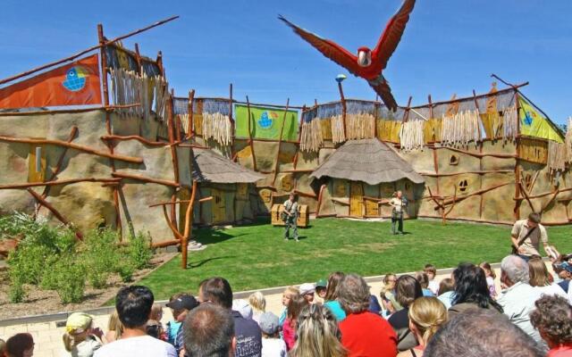 Schwalbennest - [#93355]