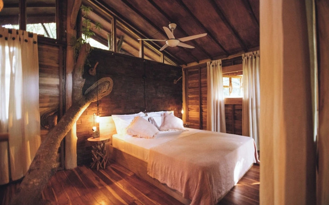 Roots Tree House