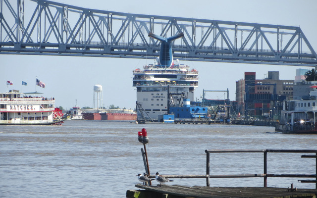 Newly Renovated 4BD Penthouse