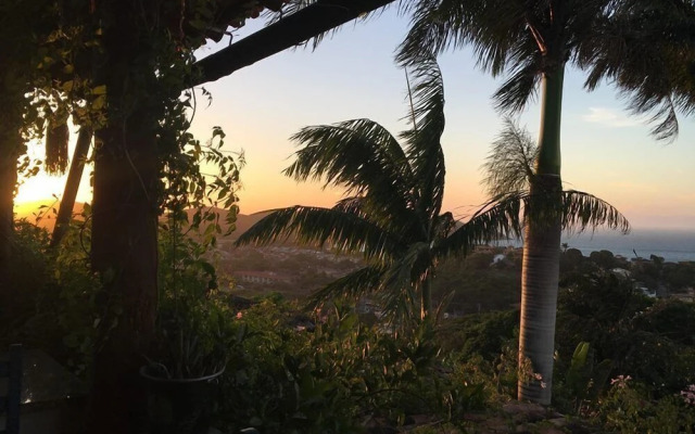 Bella Vista Eco Experience