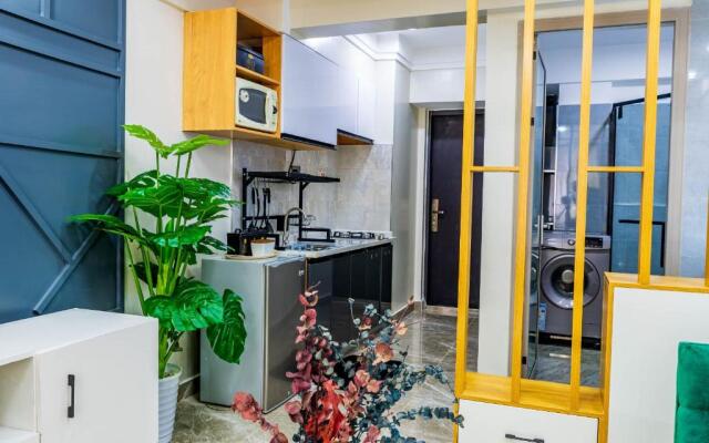 Luxury studio apartment, Kilimani